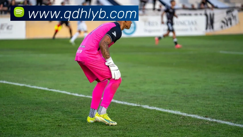 乐竞体育官网发展历程